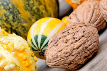 Poster - Walnuts and pumpkins on table