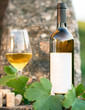 White wine bottle, glass, young vine leaves against soft background, Italy