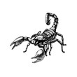 Hand drawn sketch of scorpion. Tattoo design.
