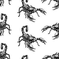 Wall Mural - Hand drawn seamless pattern with scorpion. Background design.