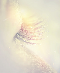 Canvas Print - Closed eyes with beautiful fluffy eyelashes in drops of rain or dew drops close-up macro at sunset on a soft gold background. Gentle romantic dreamy artistic image.