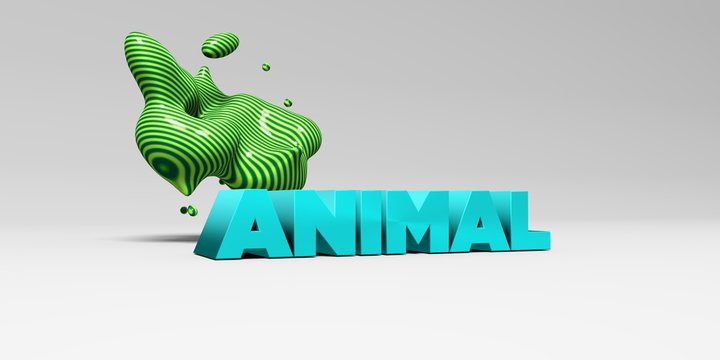 ANIMAL -  color type on white studiobackground with design element - 3D rendered royalty free stock picture. This image can be used for an online website banner ad or a print postcard.