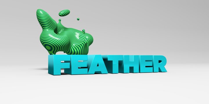FEATHER -  color type on white studiobackground with design element - 3D rendered royalty free stock picture. This image can be used for an online website banner ad or a print postcard.
