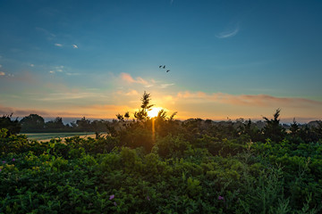 Wall Mural - sunrise