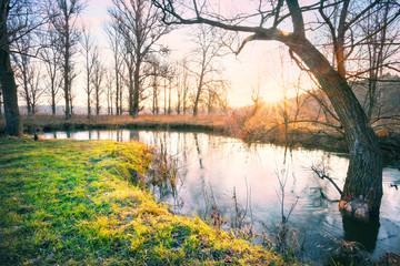 Wall Mural - dawn on the river with grass on shore