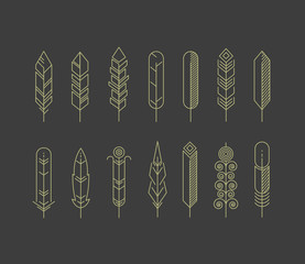 Wall Mural - Linear feathers vector icons