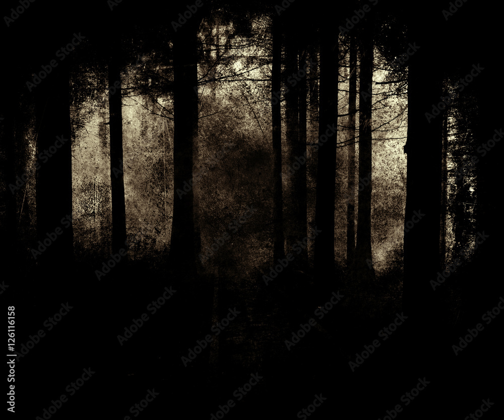 Grunge Abstract Scary Halloween Forest Wallpaper Stock Photo | Adobe Stock, image size:1000x833
