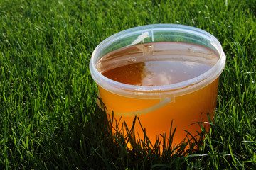 Canvas Print - Plastic bucket with freshly collected herbal honey on the mown l