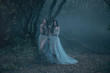 Two mysterious sexy lady's with long black hair, wandered by eerie woods