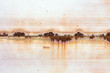 Rusty metal wall. Some leaks of rust visible. Copyspace.