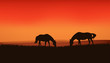 horses at sunset vector landscape