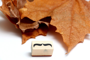 moustaches rubber stamp. Movember men's health awareness concept.