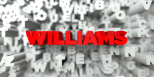 WILLIAMS -  Red Text On Typography Background - 3D Rendered Royalty Free Stock Image. This Image Can Be Used For An Online Website Banner Ad Or A Print Postcard.
