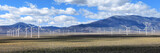 Fototapeta Uliczki - Wind turbine farm in Nevada desert panoramic