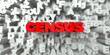 © Chris Titze Imaging - CENSUS -  Red text on typography background - 3D rendered royalty free stock image. This image can be used for an online website banner ad or a print postcard.