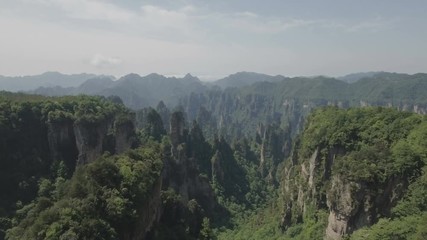 Wall Mural - flying over green forests growing on the surreal rock formations of zhangjiajie national park in chi