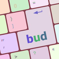 Poster - button with bud word on computer keyboard keys