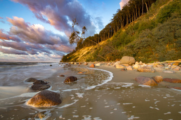 Wall Mural - sea cliffs on the Baltic coast, the island of Wolin, Poland