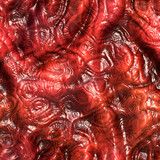 Fototapeta Do przedpokoju - Flesh Veins - Texture