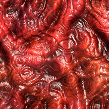 Flesh Veins - Texture