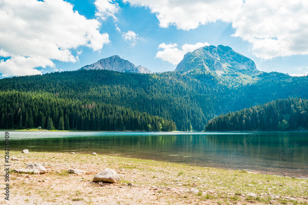 black-lake-durmitor-national-park-zabljak-montenegro-stock-photo