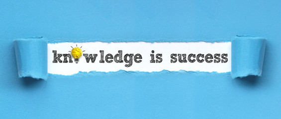 Wall Mural - Knowledge is success