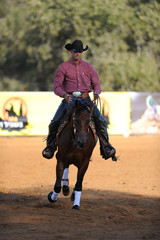 Wall Mural - The front view of a rider in cowboy chaps, boots and hat on a horseback performs an exercise during a competition