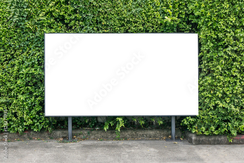 Fotografía White billboard on spring summer green leaves