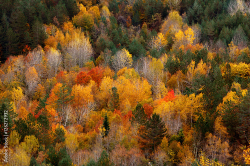 krajobrazowa-piekna-jesieni-natura-na-zboczu-kure-gory-w-kastamonu-turcja