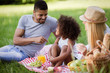 © NDABCREATIVITY - Happy family enjoying picnic