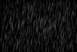 Rain on black. Vector rain texture. Abstract background