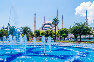 Wall Mural - The Sultan Ahmed Mosque (Blue Mosque) and fountain view from the Sultanahmet Park in Istanbul, Turkey