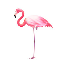Pink Flamingo One Leg Realistic Icon