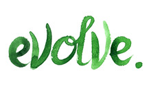 Word "evolve" Hand Written In Green  Watercolor On Clean White Background
