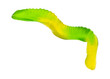 Green and yellow gummy worm isolated on a white background.