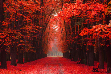 easy way in the autumn park