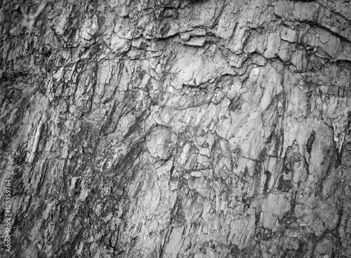 Fototapeta Dark grey black slate background
