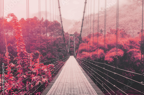 Plakat most we mgle  piekny-jesienny-las-i-slonce-ze-stalowym-mostem-wiszacym-ton-vintage