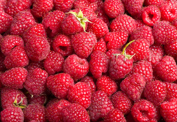 Sticker - Fresh raspberries