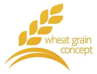 Wheat Corn Grain Icon Concept