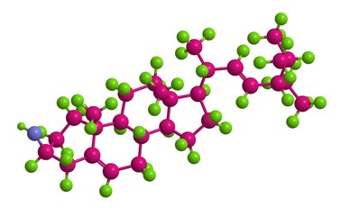 Wall Mural - Molecular structure of Stigmasterol