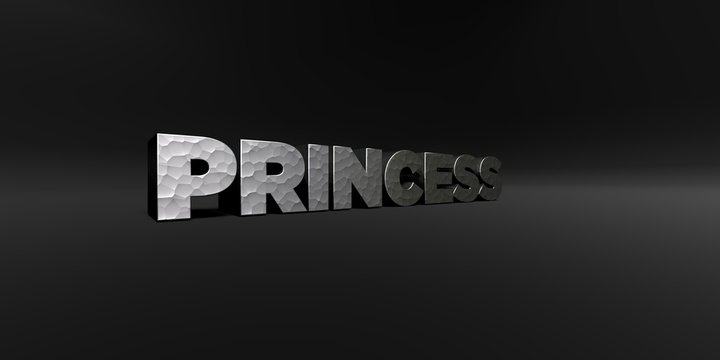 PRINCESS - hammered metal finish text on black studio - 3D rendered royalty free stock photo. This image can be used for an online website banner ad or a print postcard.