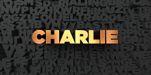Charlie - Gold Text On Black Background - 3D Rendered Royalty Free Stock Picture. This Image Can Be Used For An Online Website Banner Ad Or A Print Postcard.