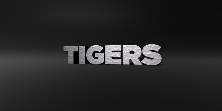 TIGERS - hammered metal finish text on black studio - 3D rendered royalty free stock photo. This image can be used for an online website banner ad or a print postcard.