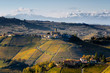 Vineyards of Langhe (Piedmont, Italy): view of Castiglione Falletto, medieval village, with mountains in the background