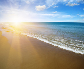 beach and sea