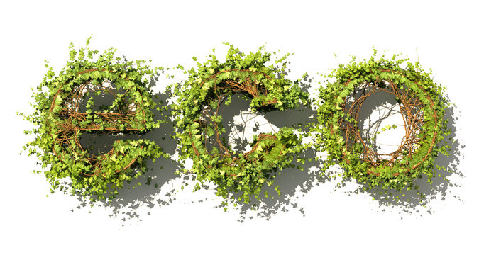 Eco concept. Eco word made of green vector leaves. Word made of