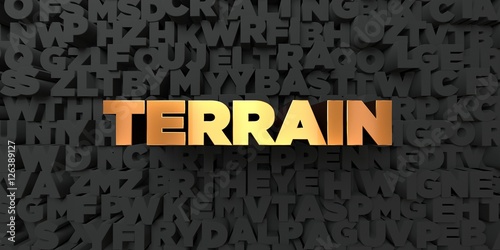 Fotografie, Obraz Terrain - Gold text on black background - 3D rendered royalty free stock picture