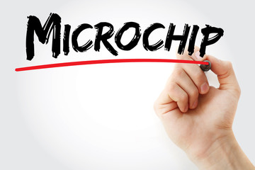 Poster - Hand writing Microchip with marker, concept background