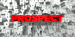 PROSPECT -  Red text on typography background - 3D rendered royalty free stock image. This image can be used for an online website banner ad or a print postcard.